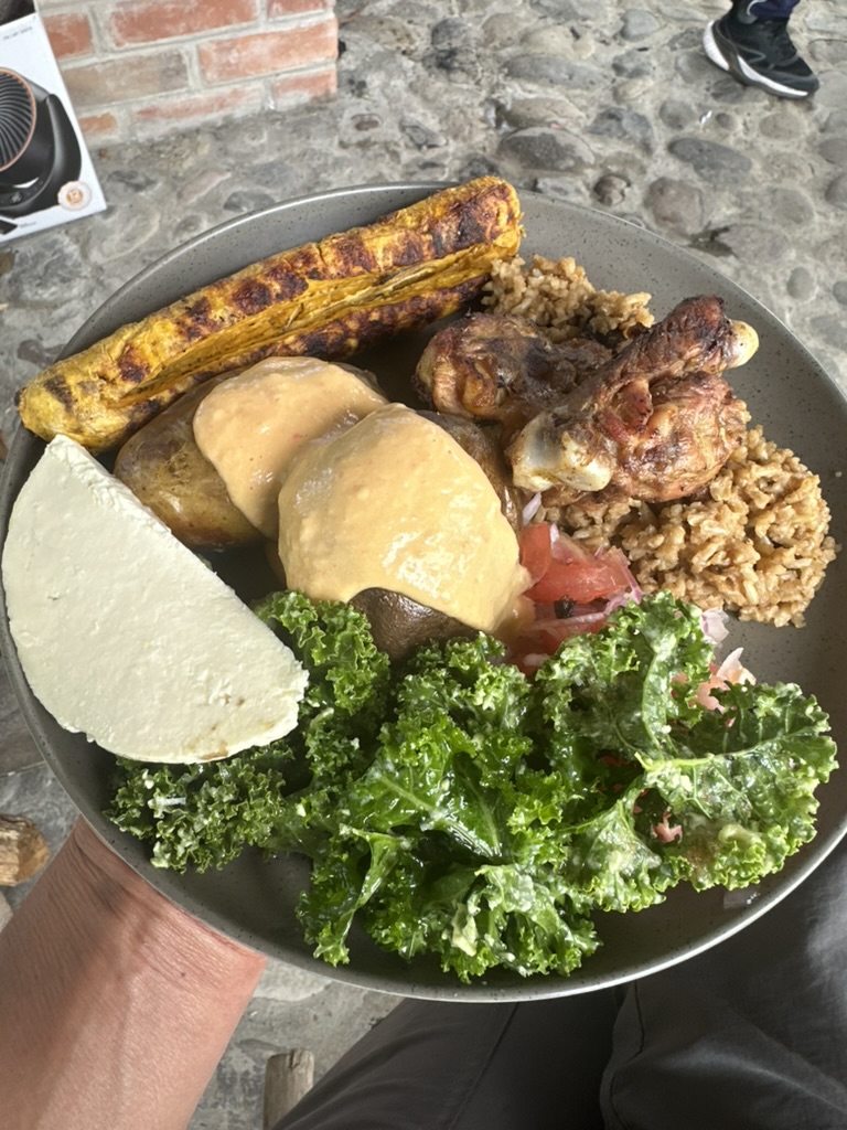 A plate of grilled chicken, potatoes with cheese sauce, plantain, rice and kale salad