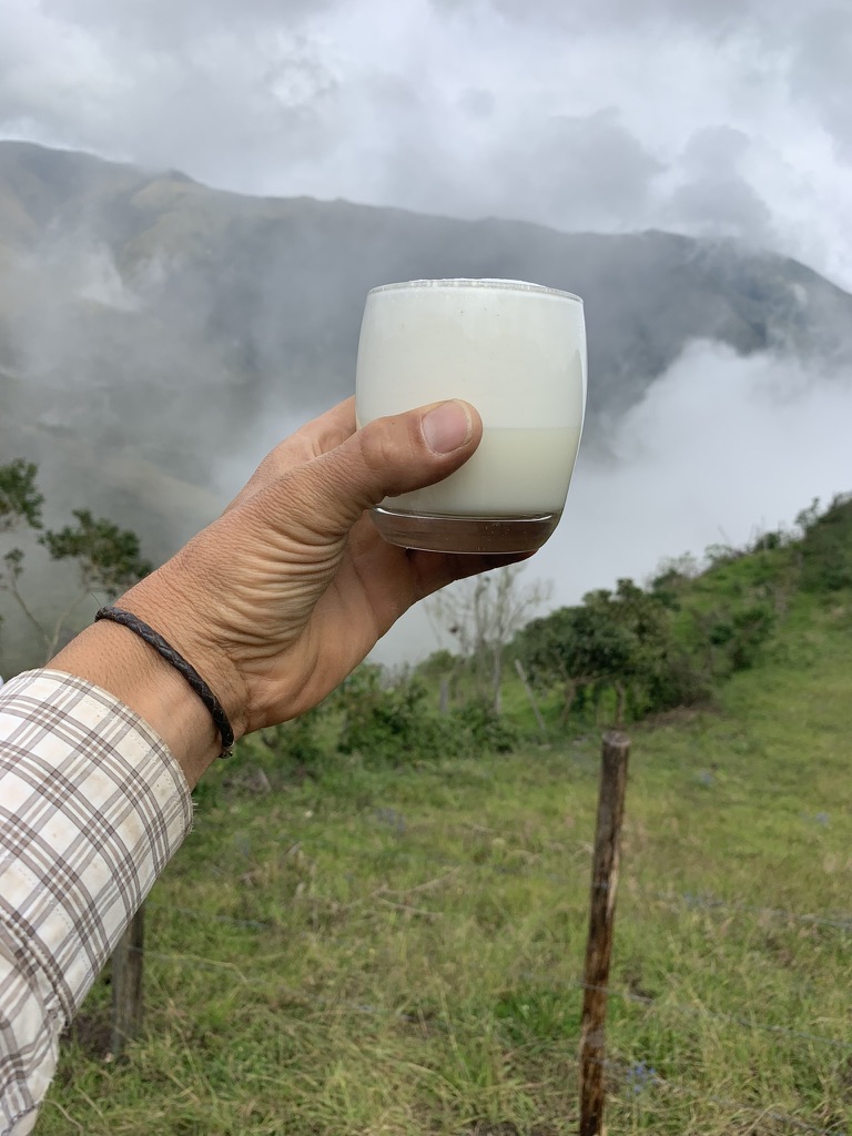 A glass of fresh milk held against the cloud-wrapped mountains