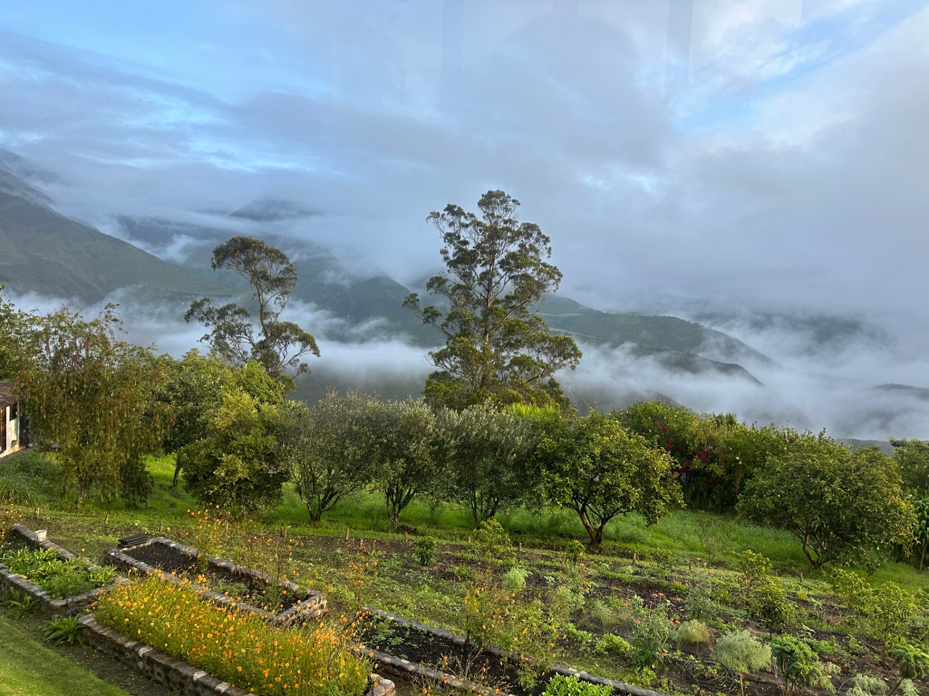 Farm gardens with mist rising off the Andes