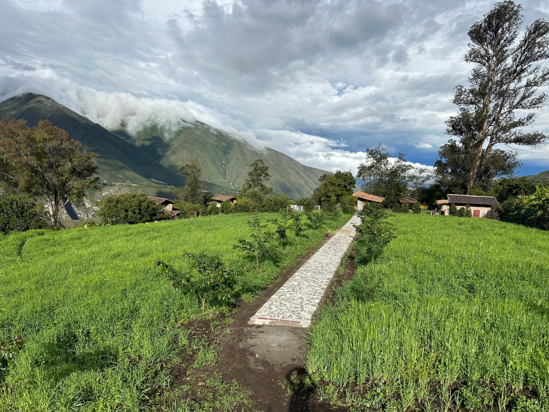 Stone path winding through the farm