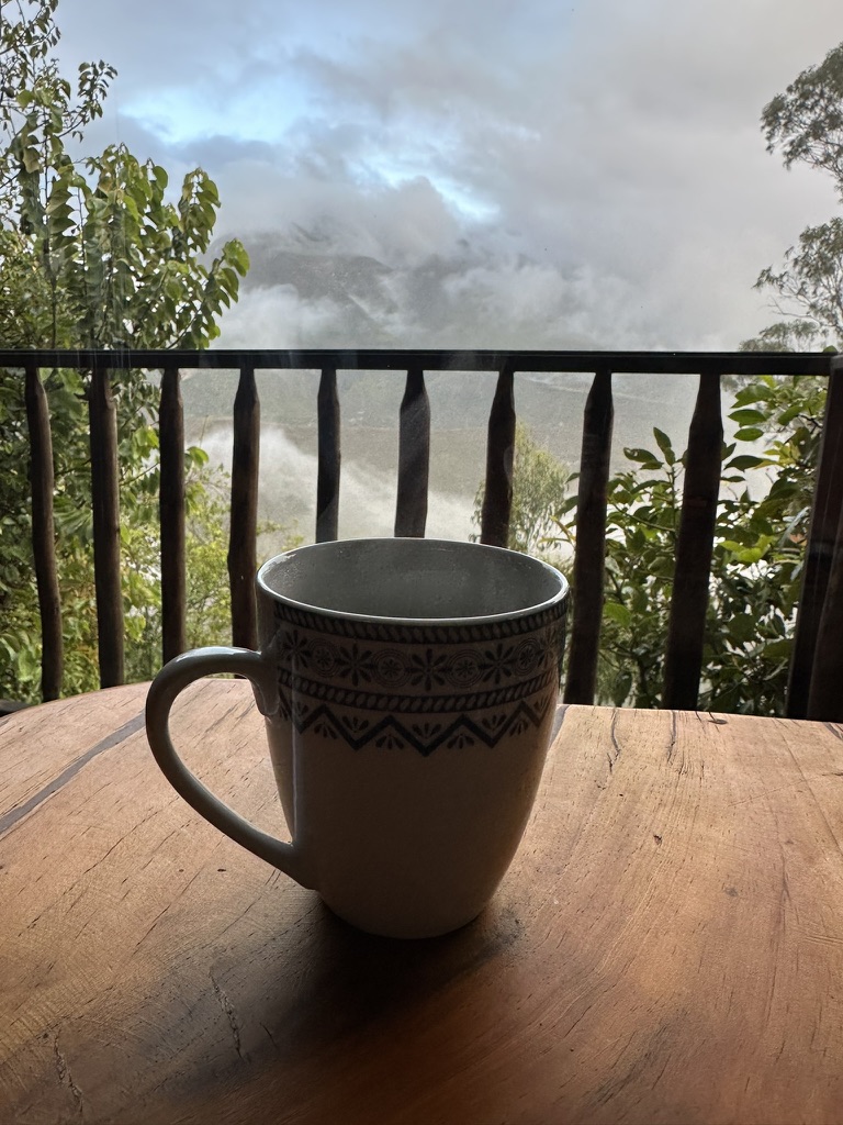 Café de la finca