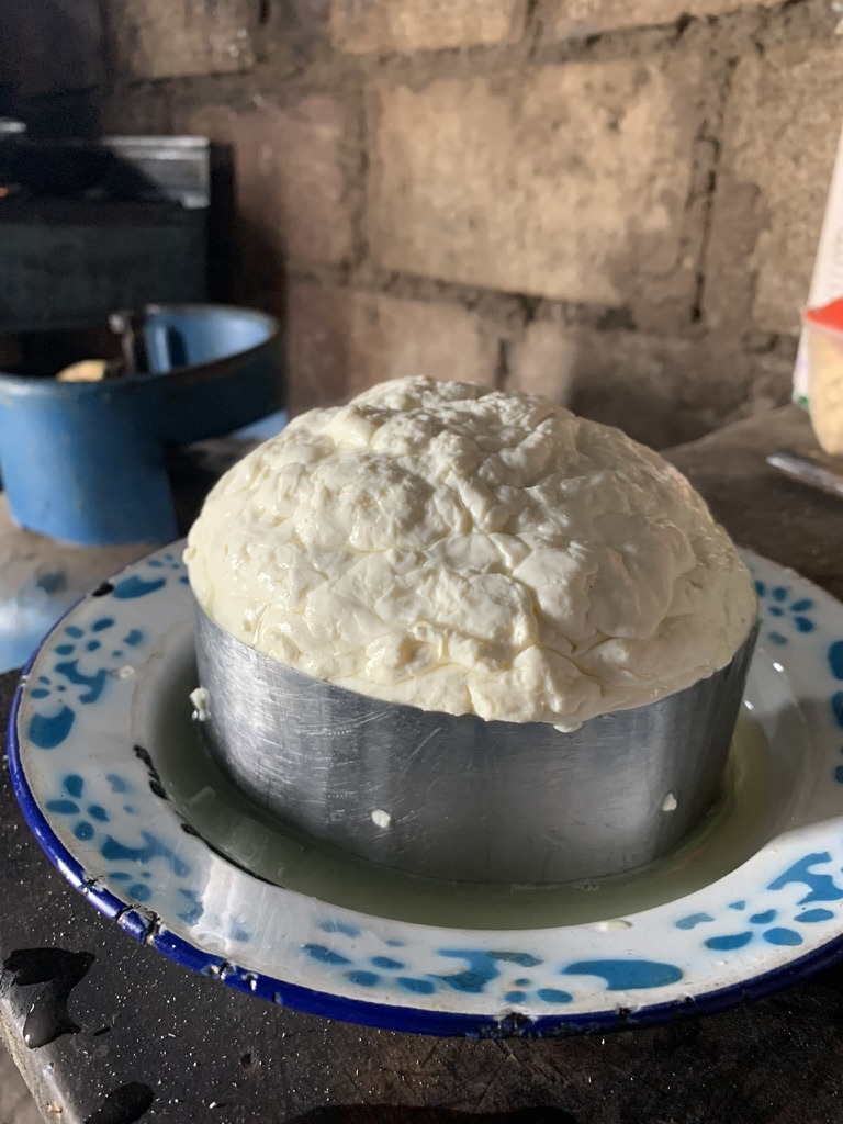 Fresh farmhouse cheese set out on a painted plate