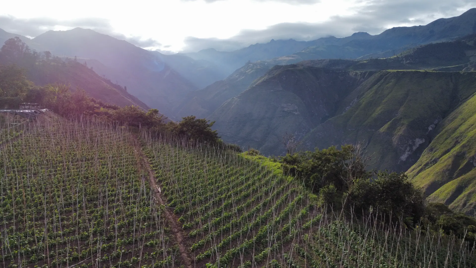 Terrassierte Farmreihen oberhalb der Schlucht bei Cahuasquí mit den Anden im Hintergrund
