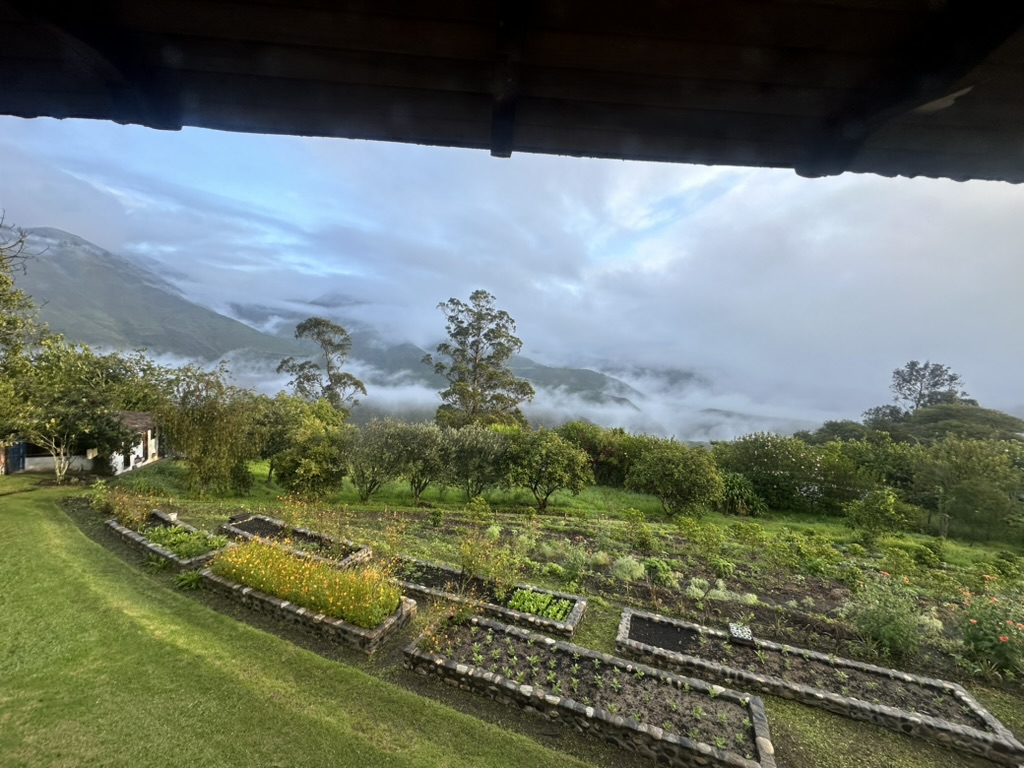 Stone-walled garden beds at dawn with clouds in the valley